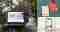This image for Image Layouts addon